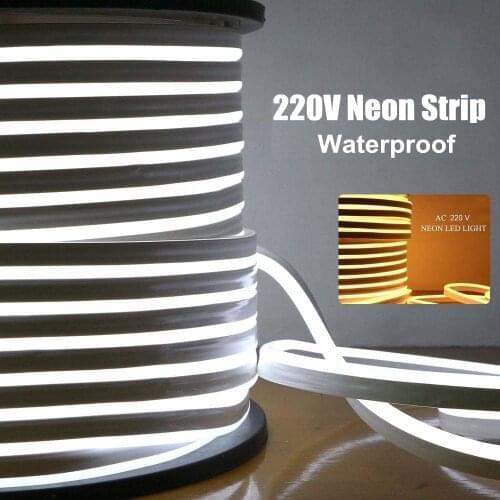 EU 220V Neon Strip Waterproof White/Warm White 2835 120LEDs/m Ribbon Tape Flexible LED Strip Lamp for Outdoor Garden Decoration
