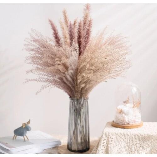 30Pcs Real Dried Reed Flowers Decoration Ornaments Small Reed Flower Dry Ins Home Natural Pampas Grass Decor For Room