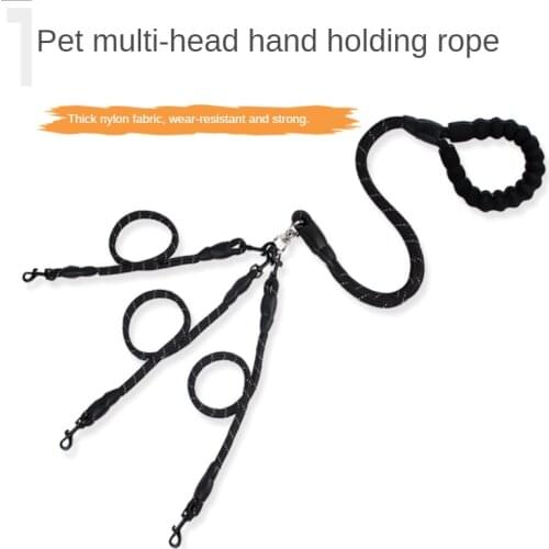 Pet Dog Leash Running Walking Trainning Nylon Rope Pet Supplies Double Triple Dog Accessories Buckle