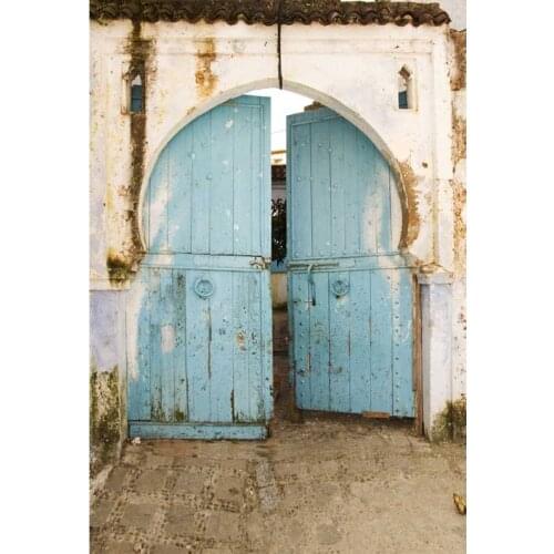 Old House Light Blue Retro Door Photography Backgrounds Printed Vinyl Photographic Backdrop for Portrait Photo Studio Photophone