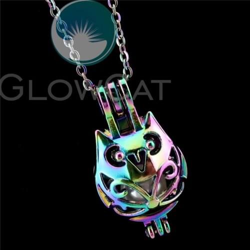 R-C809 Rainbow Colors Animal Owl Birds Beads Cage Pendant Perfume Diffuser Aromatherapy Oyster Pearl Cage Locket Necklace