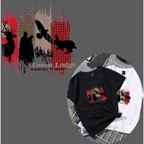 Animal Eagle Iron on Transfer Patches on Clothing Diy Stripes Patch Heat Transfer for Clothes Decoration Sticker Accessories