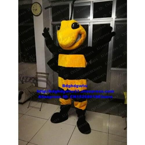 Bee Honeybee Wasp Hornet Vespid Bumblebee Bombus Mascot Costume Adult Cartoon Character Children Program Group Photo zx1574