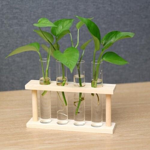 2x Wall Hanging Glass Planter Propagation Station Wood Stand Tabletop Terrarium
