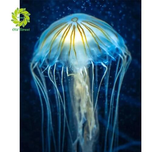 Old Street Home Diy Diamond Paintings jellyfish Painting Rhinestone Diamond Embroidery Cross Stitch Needlework mosaic Pattern