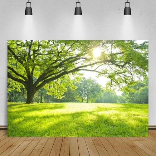 Laeacco Autumn Backdrops Yellow Maples Tree Grass Sunshine Jungle Scenic Backdrop For Photography Photo Background Photo Studio