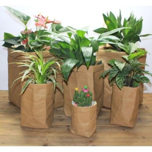 Mini Succulents Planter Pot Washable Kraft Paper Flowerpot Creative Desktop Flower Pots Reuseable Multifunction Home Storage Bag