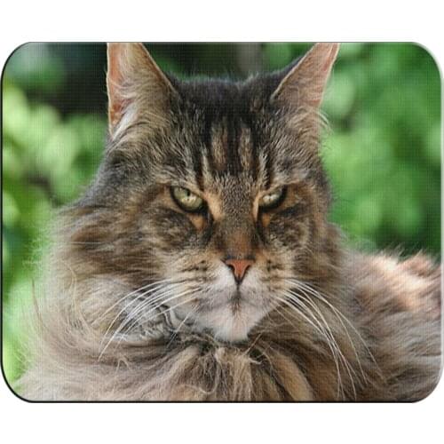 MERCHANDMANIA large cat mat MAINE COON very cute for raton computer pc laptop accessory personalized