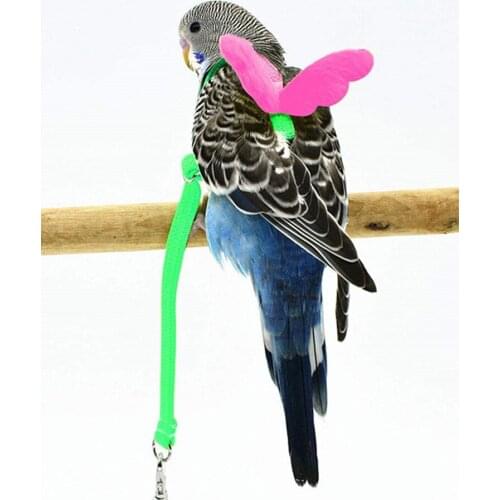 Parrot Bird Harness Leash Set Anti-lost Training Harness For Parrots Outdoor Flying Rope For Cockatiel Small Birds