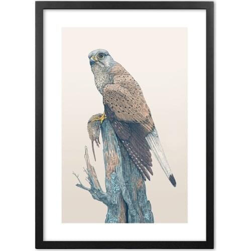 Nordic Ink Art Eagle Animals Raptor Wall Art Print Paper Painting Nordic Poster And Prints Wall Pictures For Living Room Decor