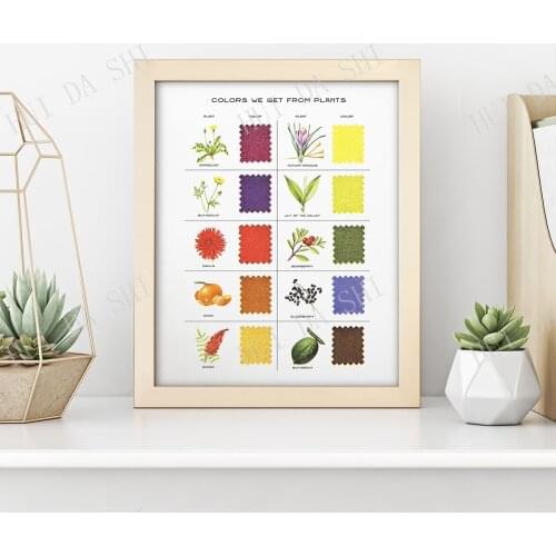 Natural Dyes Color Chart • Vintage Plant Color Print • Color Theory Plants Pigment Flowers Diagram Fabric Dying