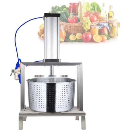 Stainless Steel Vegetable Juicer Dehydrator Fruit Honey And Other Juicers