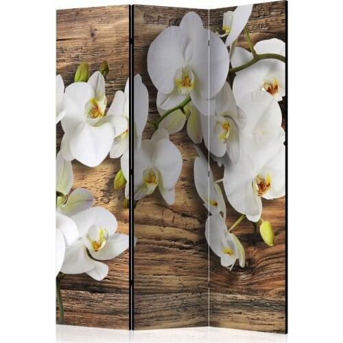 Windbreak-Forest Orchid [Room Dividers]