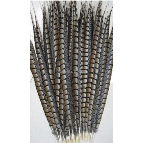 100pcs 20-24inch 50-60cm Long Lady amherst tail pheasant feathers wholesale cheap bulk long tail loose feathers,long feathers