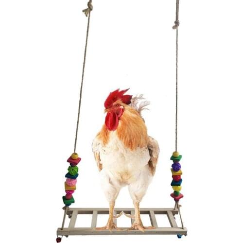 Chicken Swing Bird Perch Toy pet stairs Swing Chicken for Hens Bird Parrot Macaw 11 * 40 * 50cm