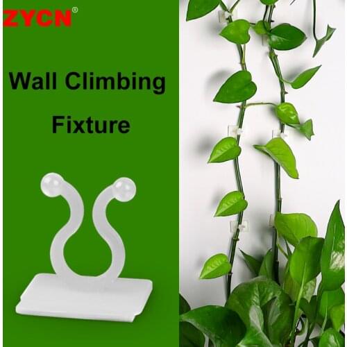 Plant Climbing Wall Self-Adhesive Fastener Tied Fixture Vine Buckle Hook Garden Clips Fixed KL-1/2 Cable Wire Sticky Management