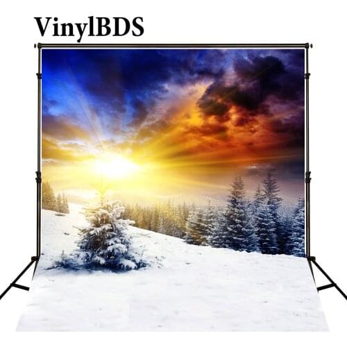 VinylBDS Winter Backgrounds Photography Sun Shines Red Blue Clound Backgrounds Scenery Snow In Land Background For Photo Studio
