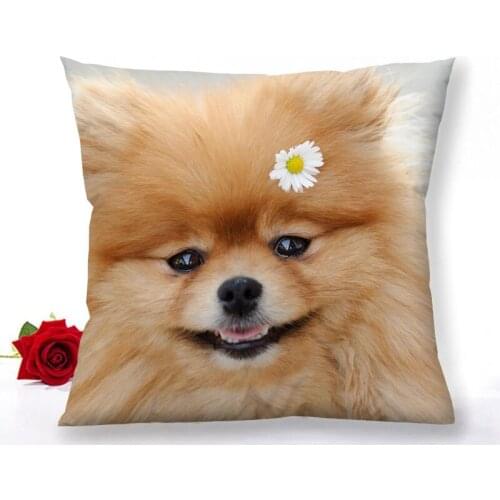 Custom Pomeranian Dog Zipper Pillowcase Home Decoration Satin Fabric Square Pillowcase 40x40cm 60x60cm Bedroom Pillow Cover 1.15