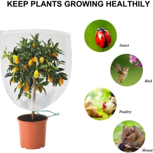 5pcs Non-Woven Fruit Flowers Growing Insect-Proof Bag Grape Apple Breathable Protective Cover Fruit Protection Insect-proof And