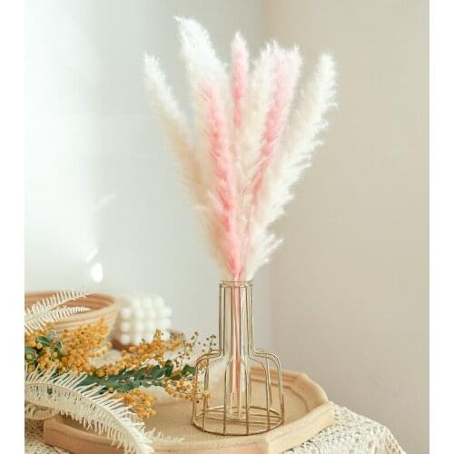 Pampas Grass Fluffy Fern Real Preserved Dried Hybird Flower Bouquet Floral Arrangement Golden Metal Vase Home Room Table Deocr