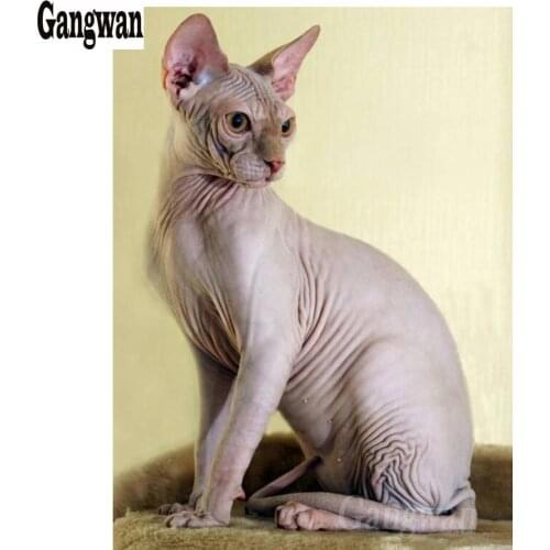 Sphynx cat 5D DIY Diamond Painting Full Drill Square round Diamond Mosaic animal Diamond Embroidery Cross Stitch Decoration Home
