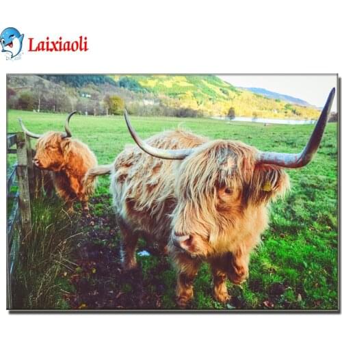 Diamond Grassland Highland Cow Cattle Wall Scotland Art Diamond Painting Cross Stitch Scandinavian Wall Picture for Living Room