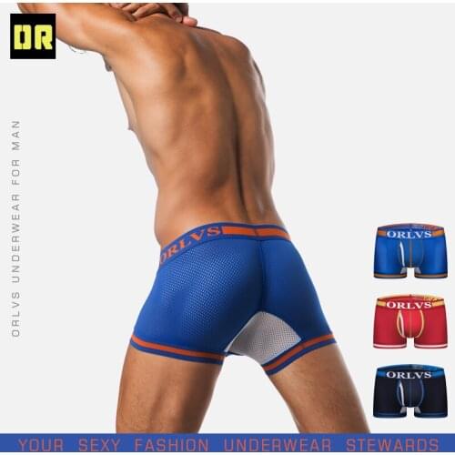 ORLVS Brand Sexy Men Boxershort Mesh Gay Underwear Breathabke Homewear Penis Pouch Comfortable Underwear Short Men Panties
