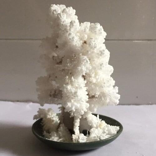 50PCS 2019 100mm H White Paper Mystically Christmas Trees Magic Growing Tree Japan Educative Science Toys For Children Novelties