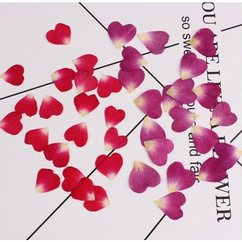 100pcs Pressed Dried Flower Rose petal Filler For Epoxy Resin Jewelry Making Postcard Frame Phone Case Craft DIY
