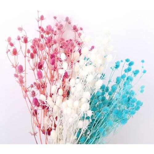 Hot-Selling Lover Fruit Multicolor Preserved Dried Flower Bouquet Newyear Wedding Photograph Desktop Home Room Decoration