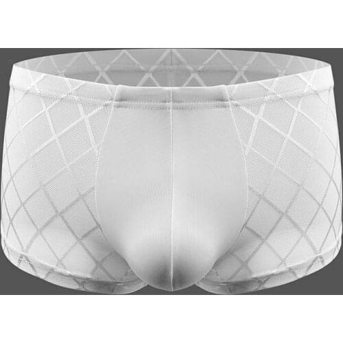 Mesh U Convex Pouch Boxers Oil Glossy Shiny Fetish Gay Underwear Transparent Sexy Boxer Men Bodystocking Lingerie Boxershorts