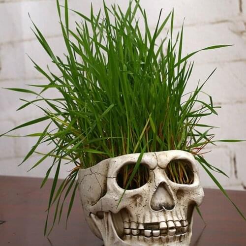 Resin Skull Head Shaped Flower Pot Planter Container Ornaments Home Garden Decor