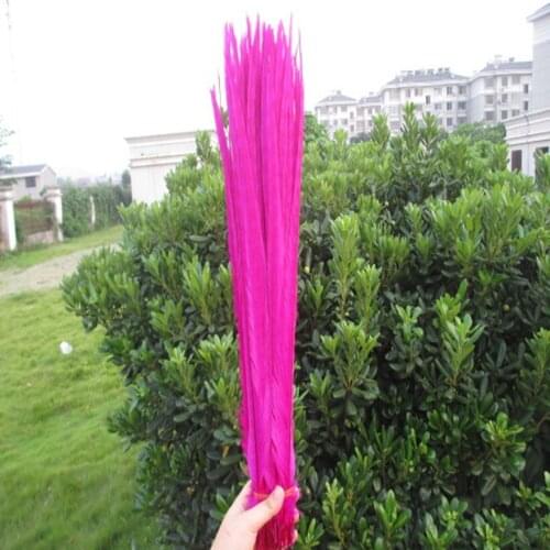 Wholesale 100 PCS / lot of beautiful rose Pheasant tail feathers 50 to 55 cm 20-22 inches celebration decoration