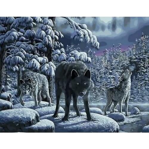 DIY Painting By Numbers Wolf Animal Canvas Drawing Figure Oil Painting HandPainted Home Decor Gift