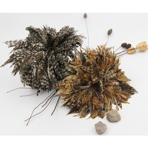 1 lot natrual Chicken feather 4-6 inch cock feathers trim fringe Diy Feather Crafts dress/Hat/collar/jewelry making accessories