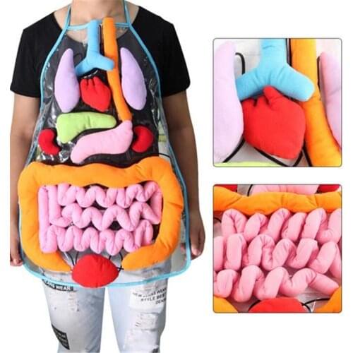 Пособия по биологии FGHGF China At AliExpress