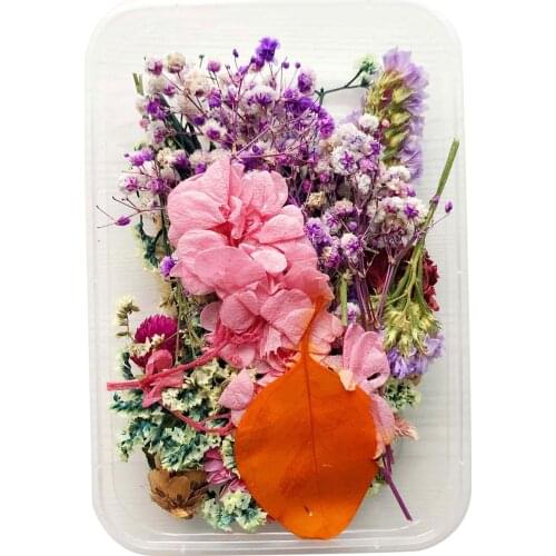 Real Dried Flowers for Art Craft Mixed Multiple Natural Flowers for Soap Candle