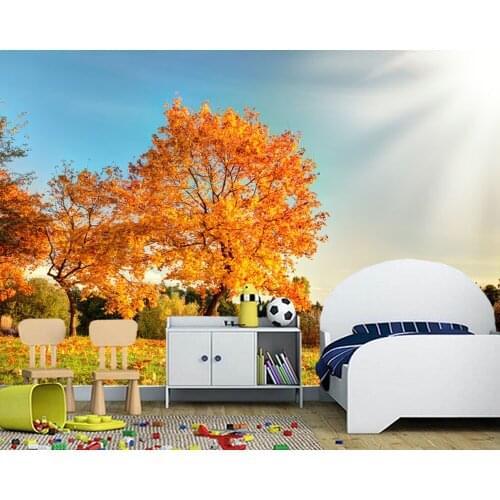 Sunny autumn landscape 3d wallpaper papel de parede,hotel restaurant,living room tv sofa wall bedroom wall papers home decor