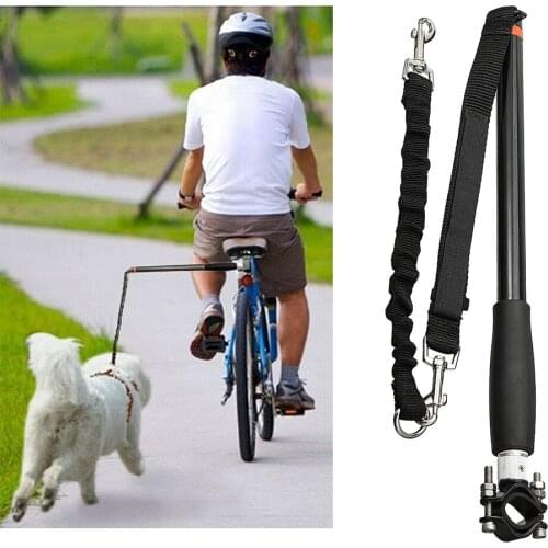 DADYPET Cycling Products