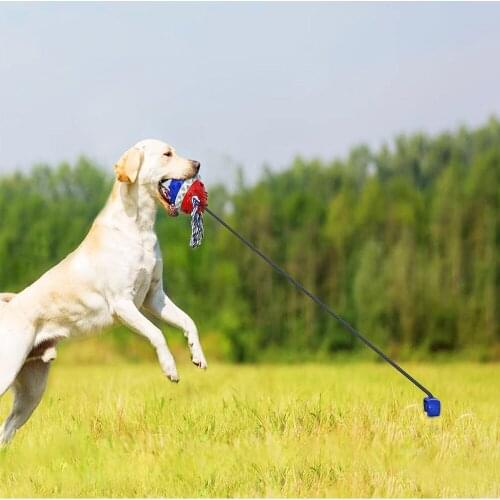Dog Toys for Small Dogs Outdoor Interactive Walking Draw String Ball Chew Bite Toothbrush Puller Toys for Puppy Accessories
