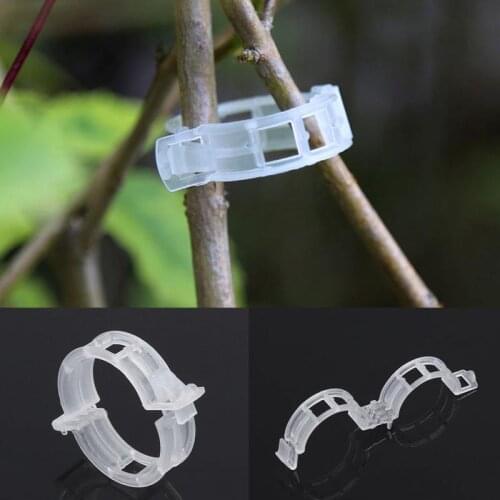 Ganchos de plástico para soporte de plantas, 50/100 Uds., para tallo de tomate y vid, Clip de fijación para verduras, accesorios