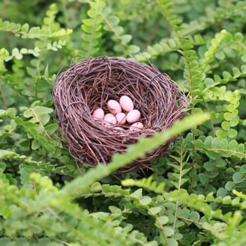 Doll Miniature 3D Cute Nest+Eggs Set Resin Model Quail Eggs Pigeon Eggs Mini Bird Egg Micro Landscape Doll House Decoration
