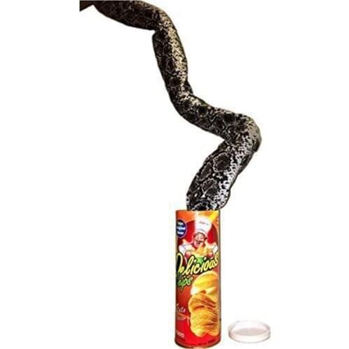 The Potato Chip Snake Can Jump Spring Snake Toy Gift April Fool Day Halloween Party Decoration Jokes In A Can Gag Gift Prank L