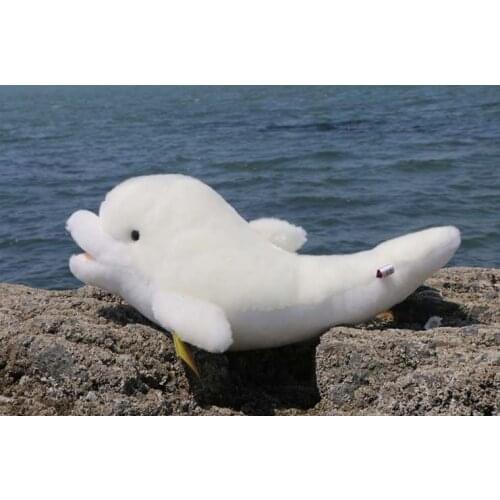Marine animal lovely dolphin plush toy about 27cm Valentines Day gift b4825