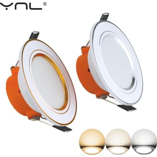 YNL Spotlights