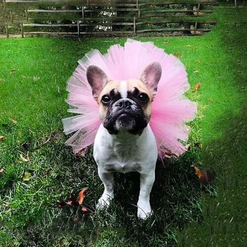 Pet Dog Cat Party Dress Summer Female Dog Tutu Skirts Performance Costume Princess Dress Skirt Clothes for Dog Cat, Multi-color