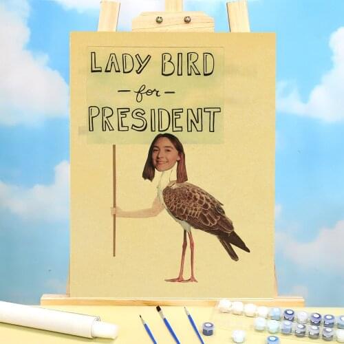 Vintage Movie Lady Bird Retro DIY Painting By Numbers Set Acrylic Paints 40*50 Painting On Canvas Loft Picture For Kids Art