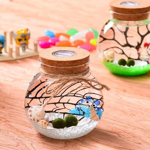 Micro Landscape Ecological Bottle Terrarium With Cork Cork Micro Landscape Ecological Bottle Night Lights