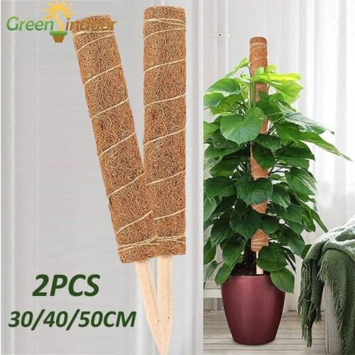 1pc 2pcs Plant Support Moss Pole Coir Totem Pole Vines Stick Garden Plant Stand for Flowers Extension for Climbing Plants Vines