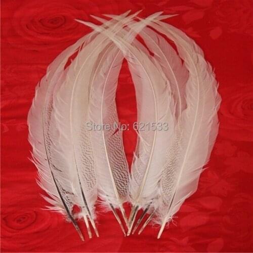 50Pcs/lot! 26-28" 65-70cm Super Long Natural Silver Pheasant Tail Feathers,Silver Pheasant Tails